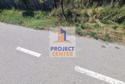 Casa si teren in suprafata de 4525 mp, Babana - 5