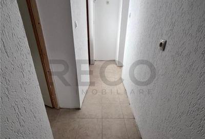 RECO, casa in Sinteu, aproape de Huta Slavia - 8