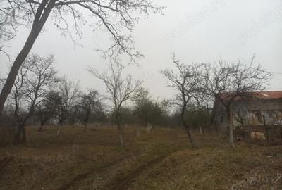 Teren de 2600 mp, în Fedeleșoiu