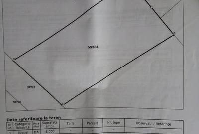 Teren de 1000 mp, în Săldăbagiu de Munte - 1