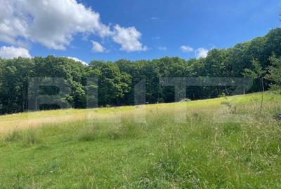 Teren extravilan de vanzare, 740 mp, zona Taberei - 7