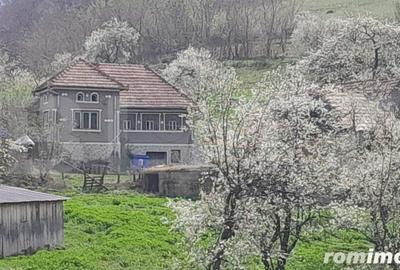 Casa individuala, 5500 mp teren, zona Vintu de Jos, Inuri - 2