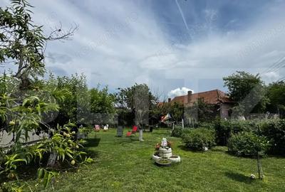 Casă cu 4 camere cu Teren 1144 Mp în Șard - 6