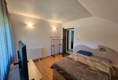 Vila Vetel zona Valea Caoi Vila Vetel zona Valea Caoi - 8