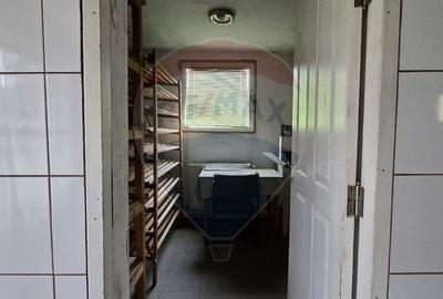 Casă cu 10 camere cu Teren 1000 Mp în Chisindia - 6