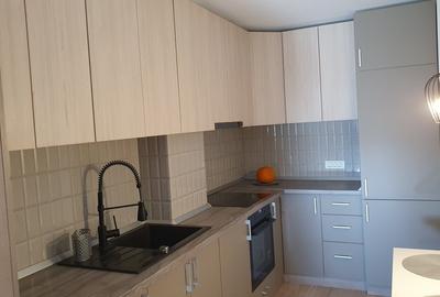 Apartament cu 2 camere semidecomandat, mobilat în Nufărul - 4