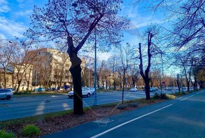 Spațiu comercial, de 196 mp, în Ultracentral - 3