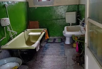 Casă cu 2 camere în Săvârșin - 4