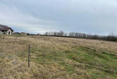 Spațiu comercial, în Central