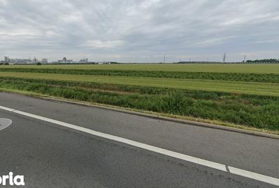 Teren de 26800 mp, în Lehliu - 2