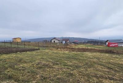 Teren de 656 mp, în Tomești - 3