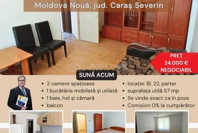 Apartament 2 camere Moldova Nou #259; - 3