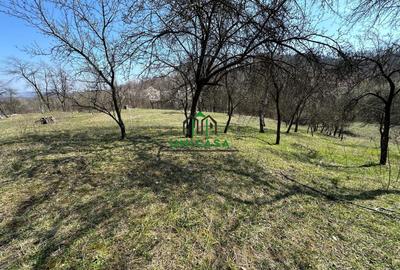 Teren Construcții intravilan de 8131 mp, în Sud-Est - 2