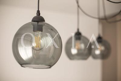 OX680 Dumbravita, Pozitie Exelenta, langa Nexfit&Riba - 25