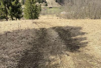 Teren de 11500 mp, în Exterior Vest - 1