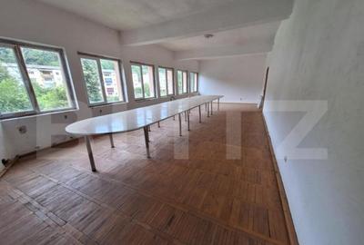 Proprietate de cazare, spatii comerciale, Lugoj - 12