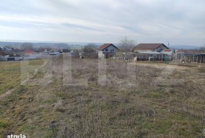 Spațiu comercial, în Preajba - 1