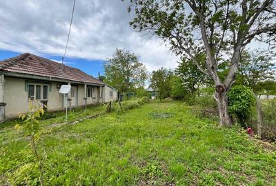 Casă individuală cu 4 camere cu Teren 4430 Mp în Tecucelu Sec - 1