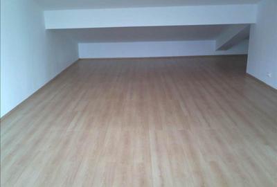 Vila de vanzare / inchiriere Bucurestii Noi - Luptatorilor - Garofitei - 30
