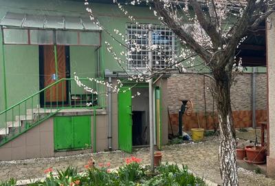 Casă cu 3 camere cu Teren 260 Mp în Aurel Vlaicu - 8