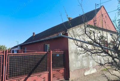 Casă cu 4 camere cu Teren 2158 Mp în Cenad - 5