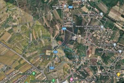 Teren de 5000 mp, în Oncea