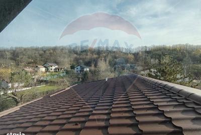 Casă cu 5 camere cu Teren 4000 Mp în Răzvad - 17