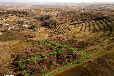 Spațiu comercial, în Podgoria - 10