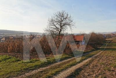 Teren intravilan 1152 mp in Rusi, cu acces la doua drumuri si utilitati in fata - 2