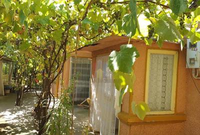 Casa 5 camere, teren 368 mp, deschidere 13 m, Brailita - 3