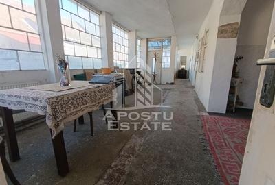 Casa individuala cu teren generos 2158mp, front 12m, livada, Freidorf - 20