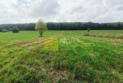 Teren intravilan - Budiu Mic - Str. Principala - 1