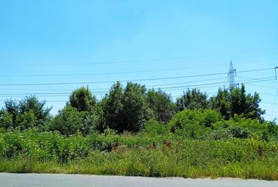 TEREN INTRAVILAN 8300 MP SECTOR 3 ZONA NICOLAE TECLU CEL MAI MIC PRET 431.600 Eu - 4