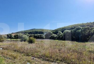 Teren de 1850 mp, în Feleacu - 3