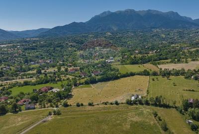 Teren Bran -Sohodol, Strada La mesteceni, 6900mp - 8