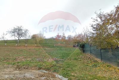 Casa cu 35 ari teren in Adancata sau schimb cu ap in Burdujeni etaj 1 - 1