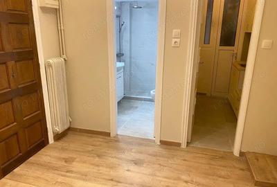 Spatiu comercial in zona Lujerului - 3