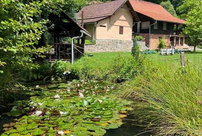 Casă cu 4 camere în Valea Neagră - 4