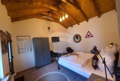 Pensiune cu 15 unita?i de cazare in Media? - 22