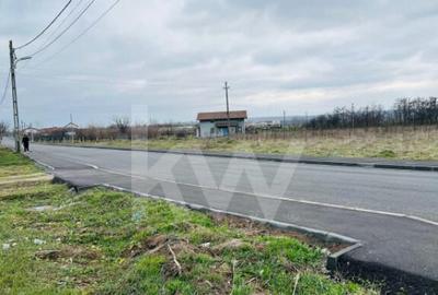 Teren extravilan 1000 mp, Rovine 2, acces la doua strazi, 8. - 3