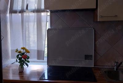 Garsonieră decomandată în Ultracentral - 8