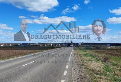 Teren extravilan 13.500 mp/ Valea Marului - 3