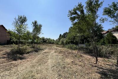 Teren Manastirea Snagov. Deschidere lac 22 m. Front stradal 30 metri. Teren Manastirea Snagov. Deschidere lac 22 m. Front stradal 30 metri. - 2