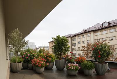 Investitie Imobiliara Premium in Dorobanti, etaj 2, decomandat - 13