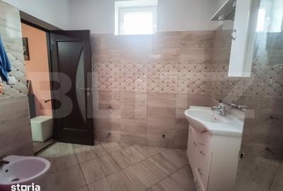 Casă cu 3 camere cu Teren 24000 Mp în Micula - 7