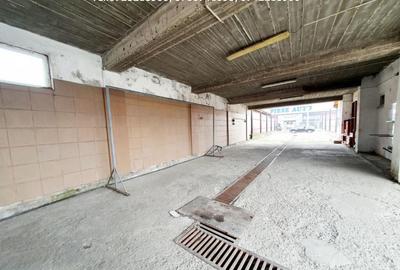 Hala + Teren Aferent ,situat in Targu Jiu, Bld Ecaterina T - 5