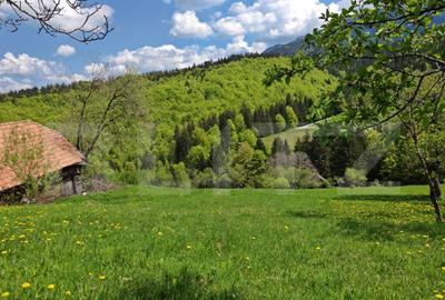 Teren intravilan 3400 mp, in Balaban - Simon, Bran - Brasov - 5