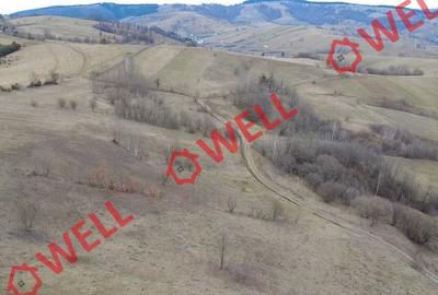 Teren intravilan de 4200 mp, în Sărămaș - 4