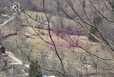 Spațiu comercial, în Secăria - 14