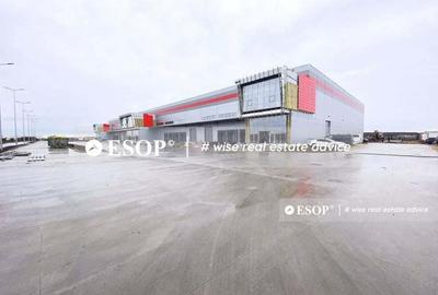 Spațiu comercial, de 3,000 mp, în Dragomirești-Deal - 5